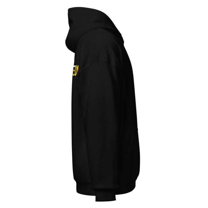 Pantheon Hoodie - Image 4